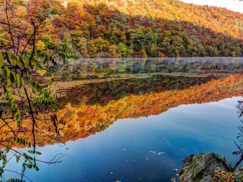 Thayatal National Park - one of the most beautiful places to go in Austria