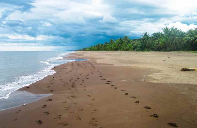 Tortuguero National Park Beach