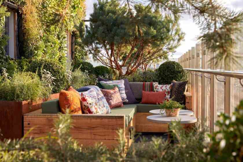 Treehouse Hotel Rooftop