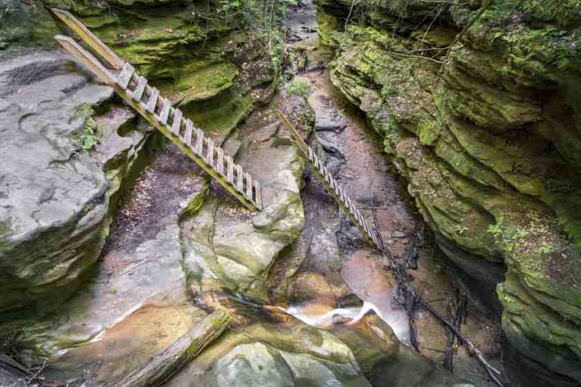 Turkey Run State Park Bridge
