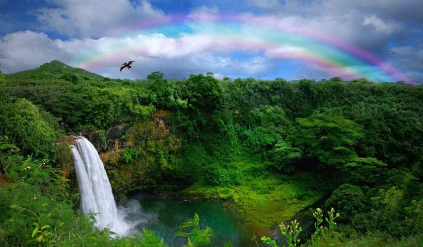 Waterfall in Kauai 
