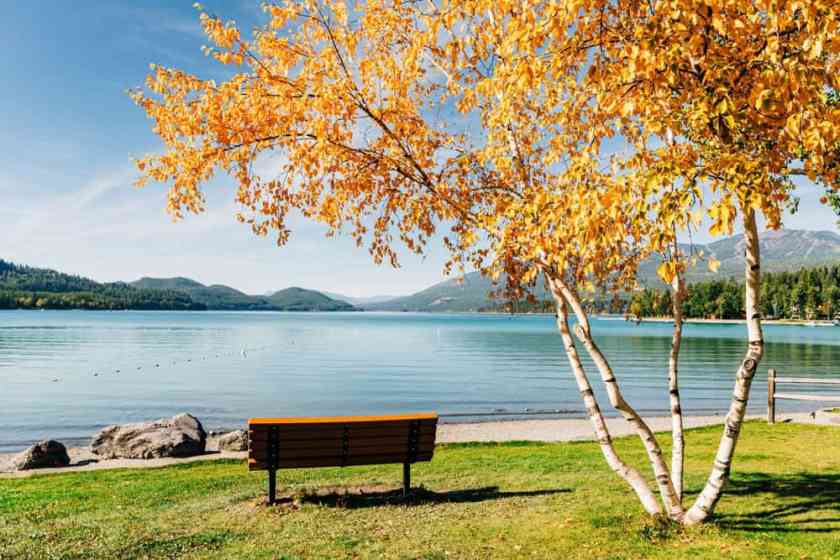 Whitefish City Beach