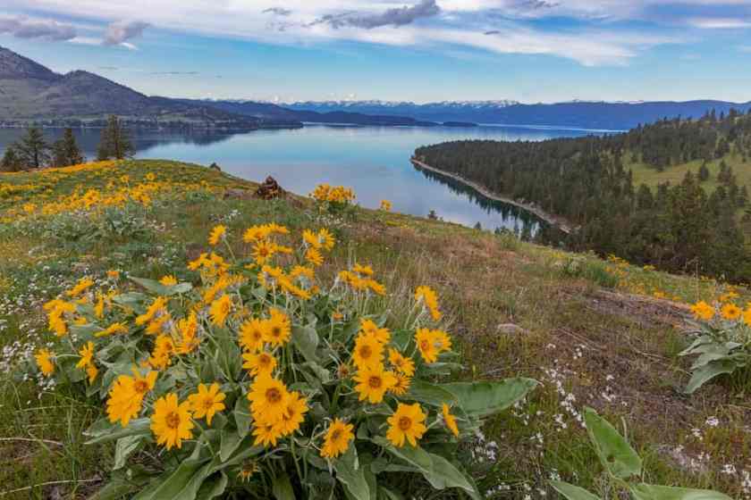 Wild Horse Island State Park